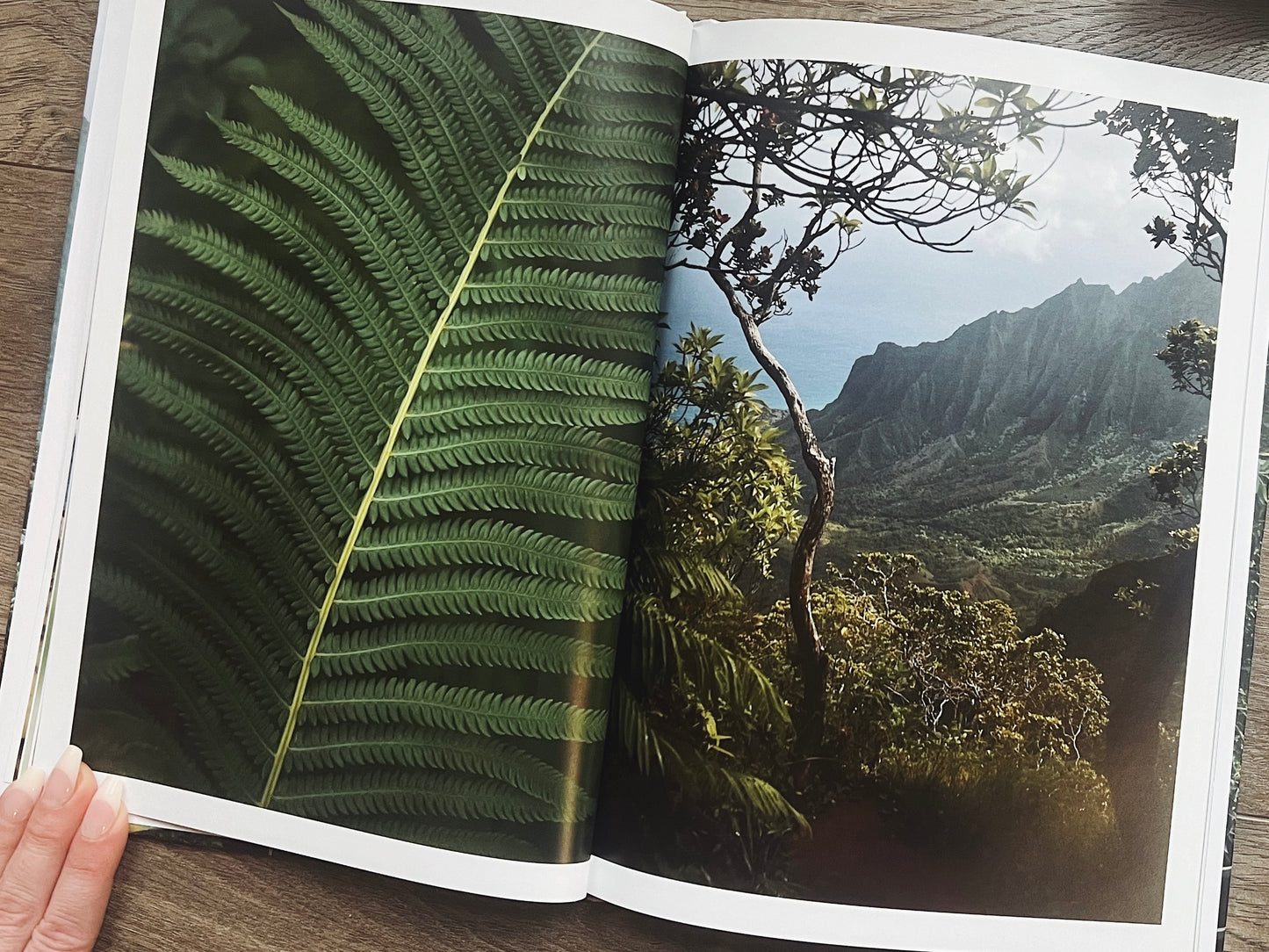 The Stillness Within: A Visual Meditation Journey