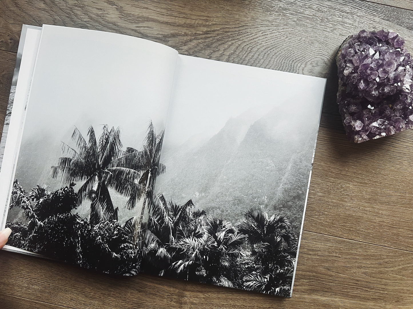 Shades Of Oahu: Paradise In Black & White