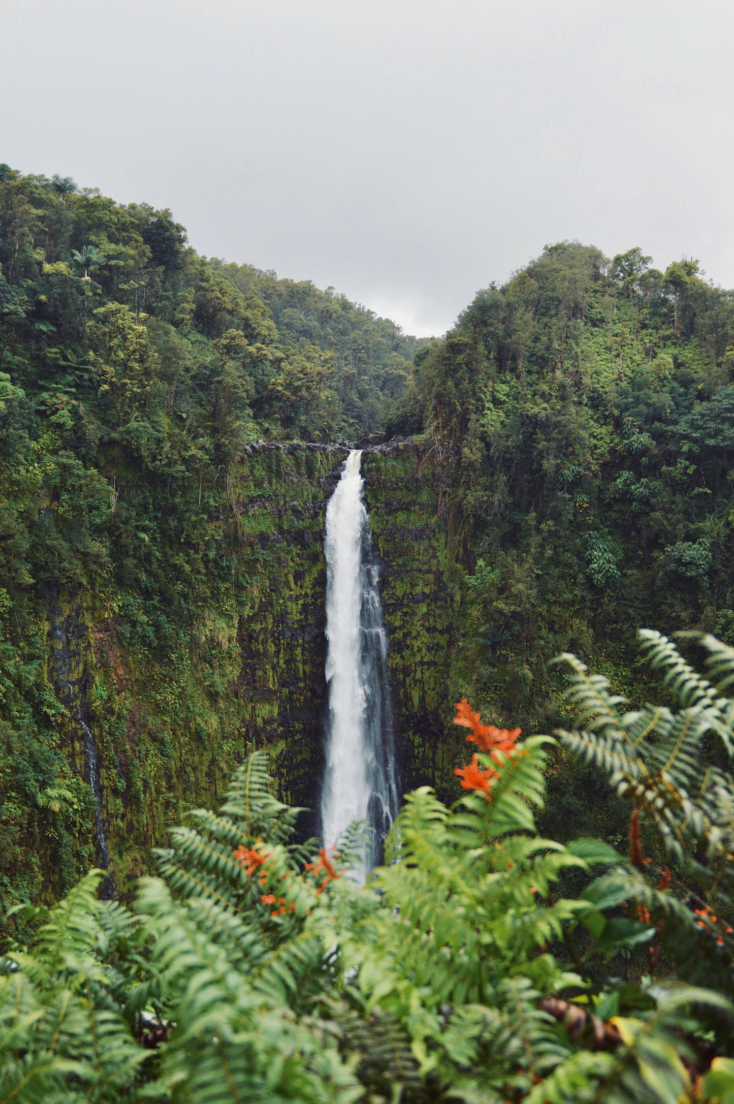 Akaka Falls