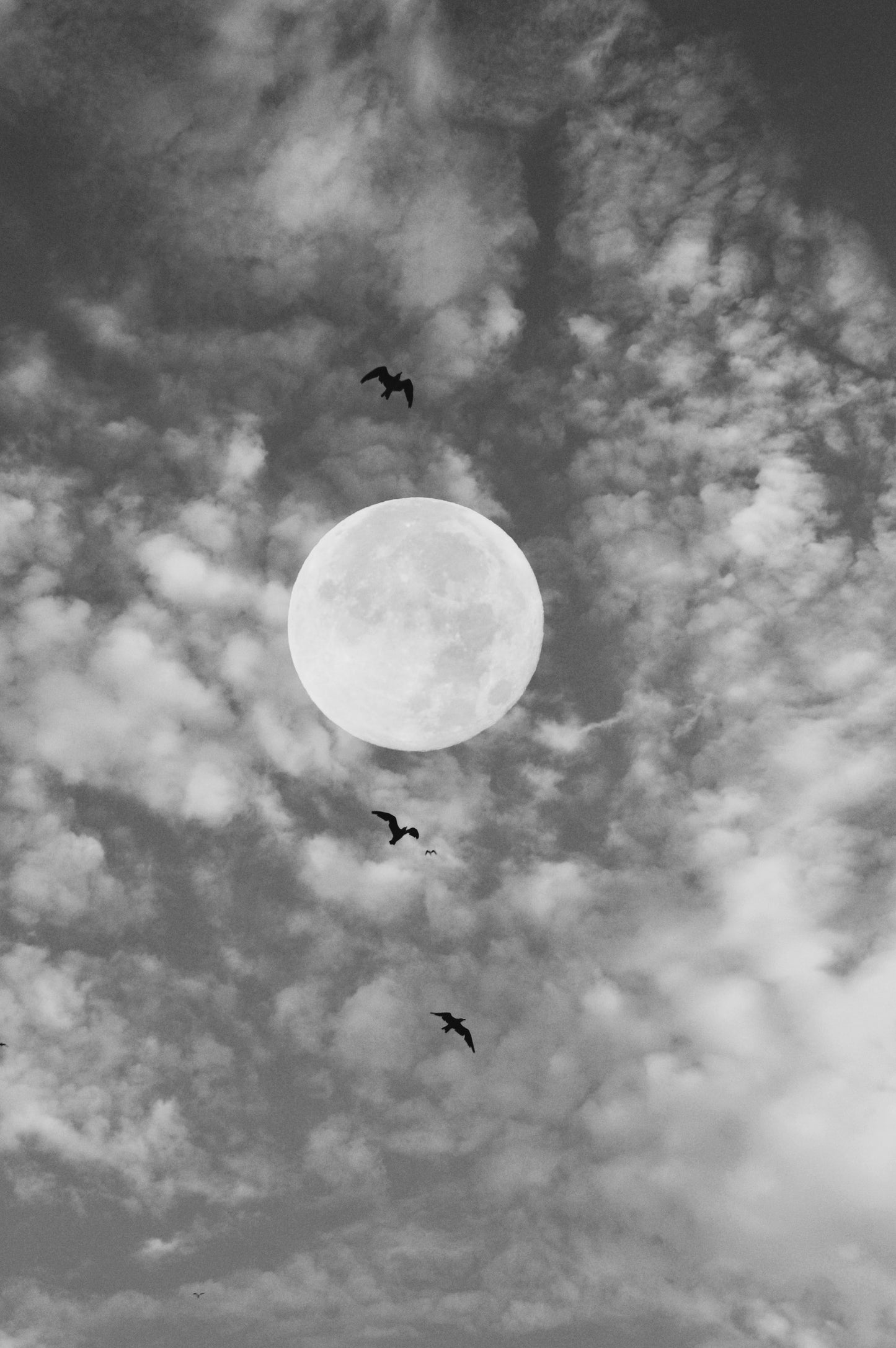 Fly Into The Moon