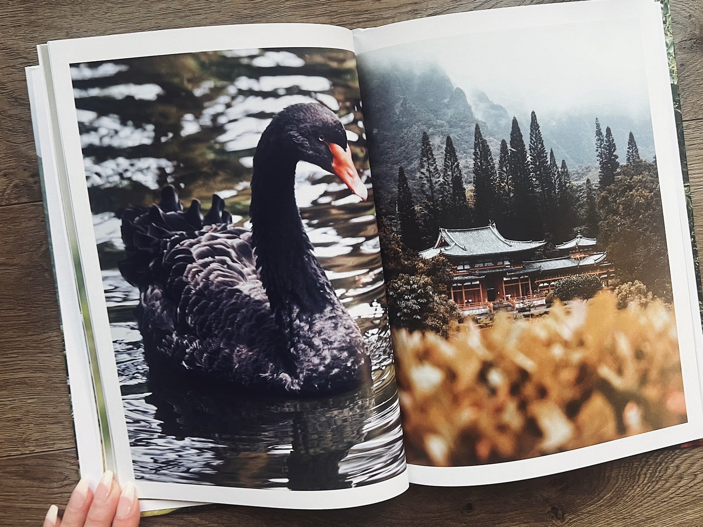 The Stillness Within: A Visual Meditation Journey