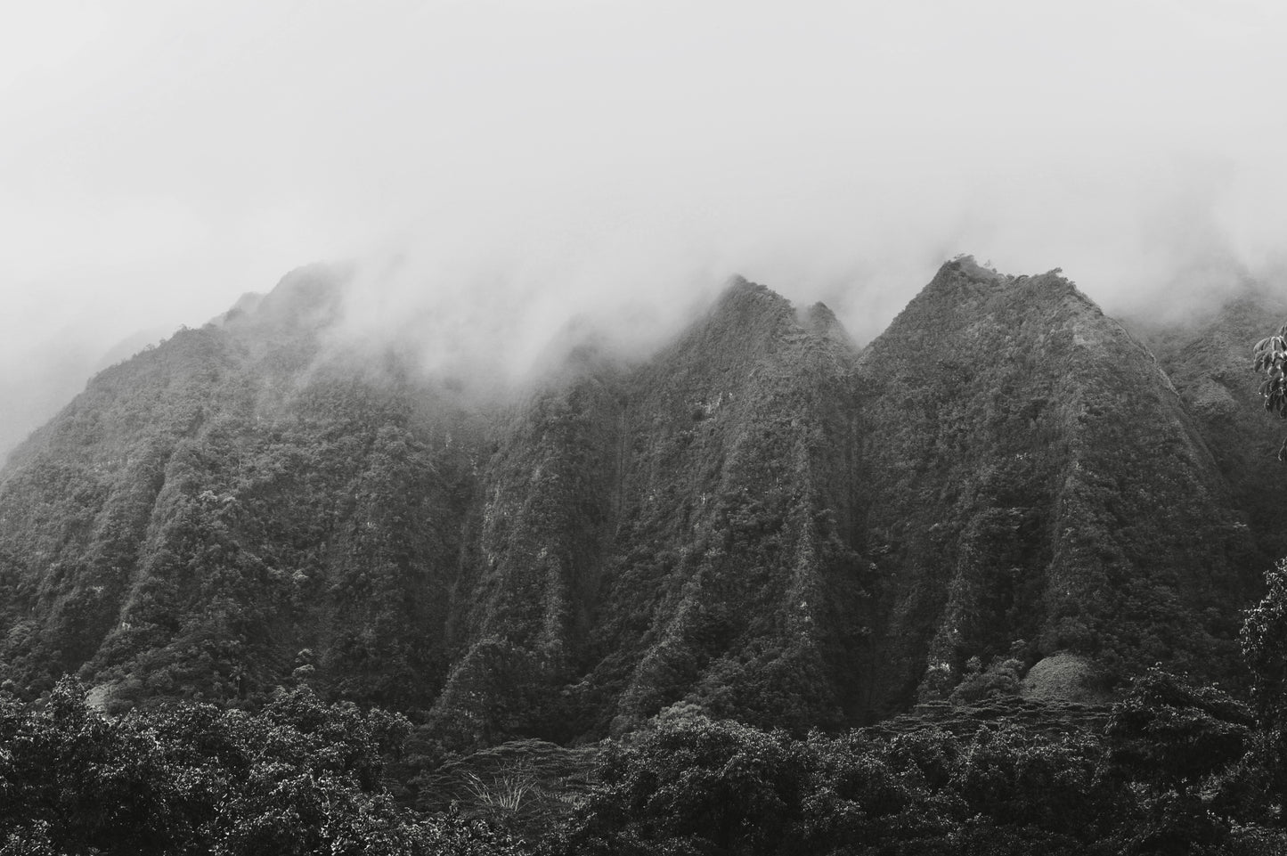 Endless Fog