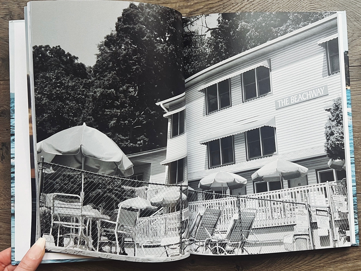 Lake Michigan Shores: A Summer Fine Art Collection