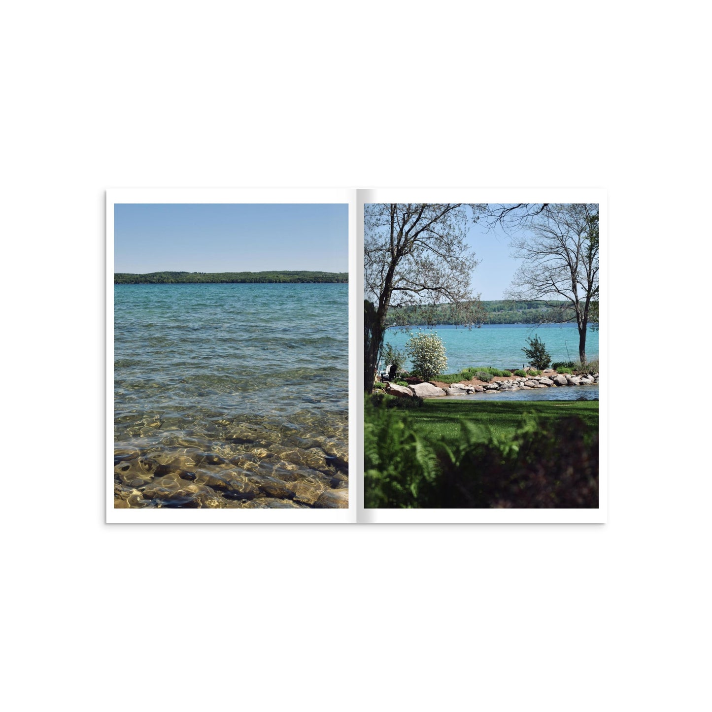 4d4b2b2d-d17a-4a3a-95f7-f0a7838f8f8d