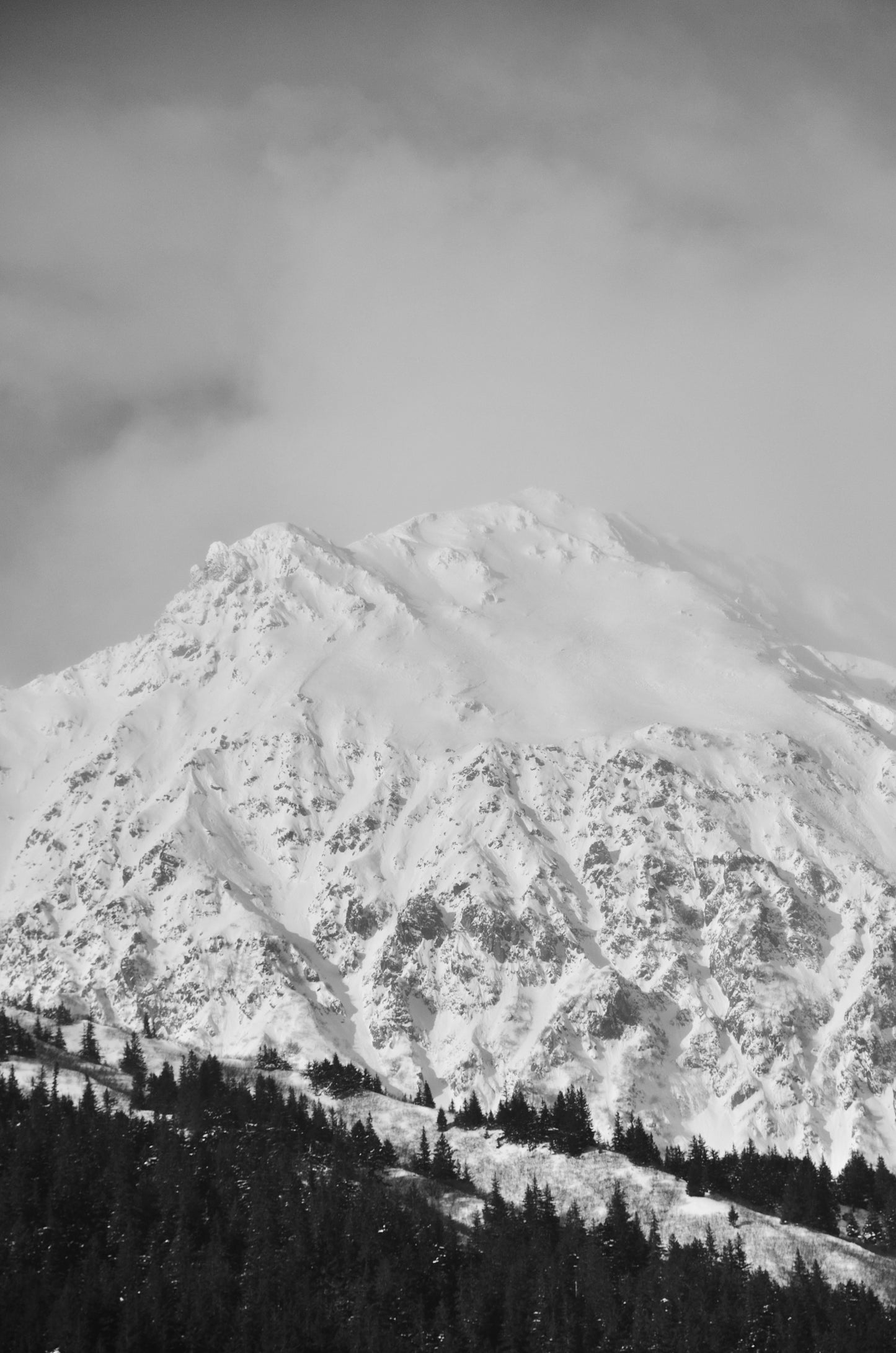 Black and white photograph of a snow-covered mountain peak with trees in the foreground, capturing a winter landscape.