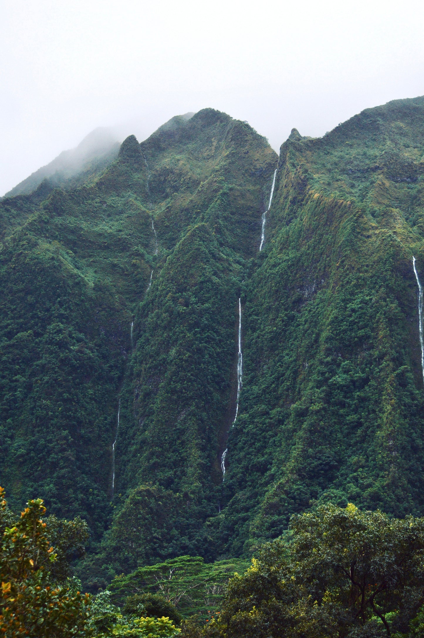 Haunting Oahu Mountains