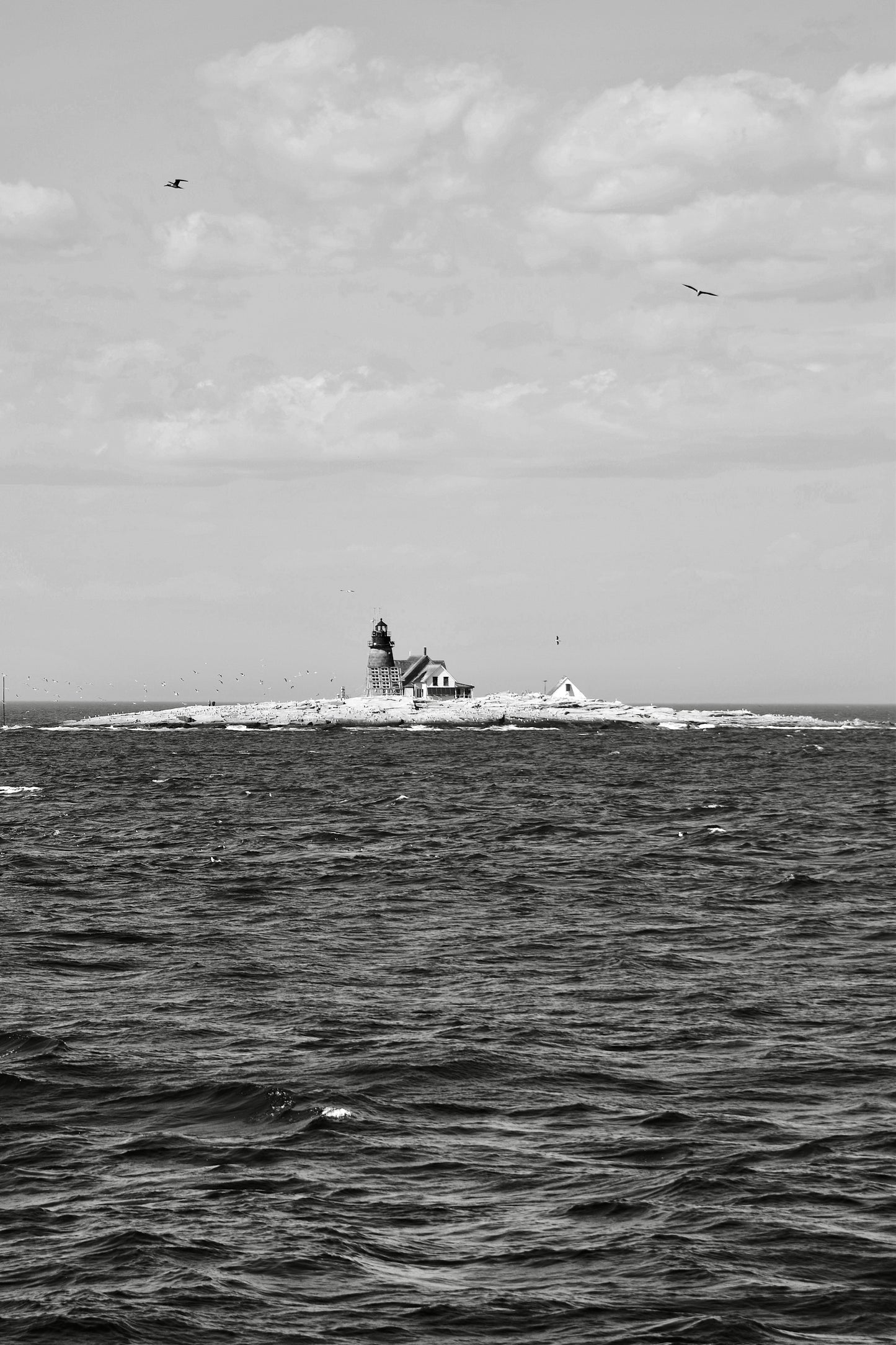 Coastal Maine Set Of 4 Prints