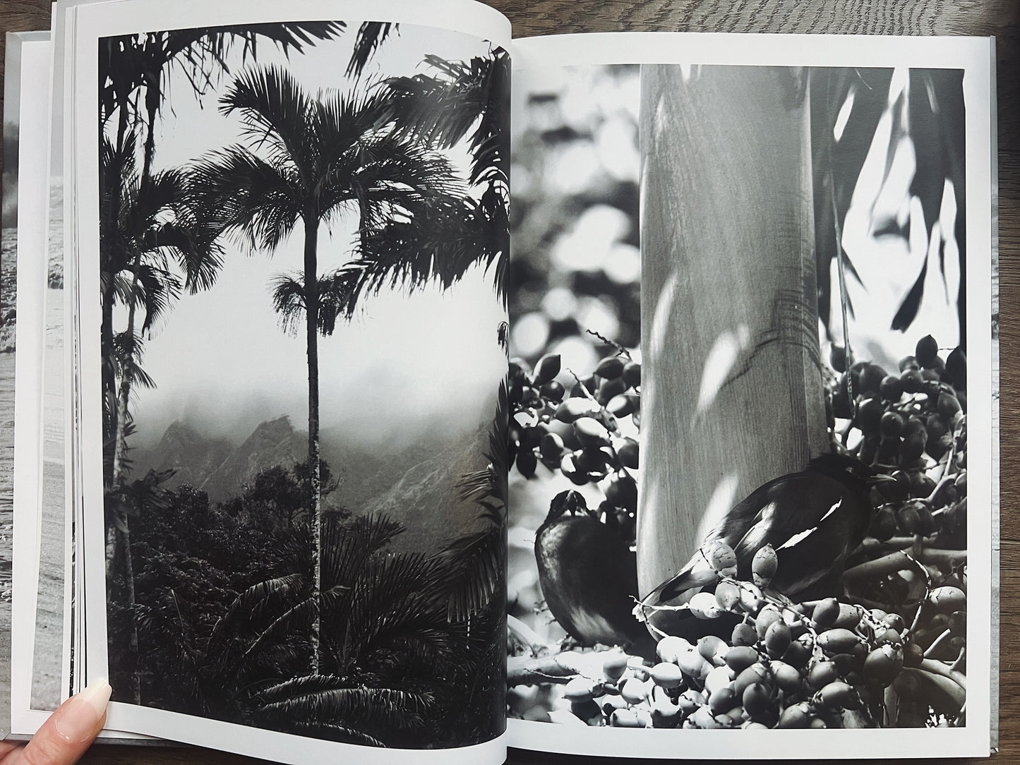Shades Of Oahu: Paradise In Black & White