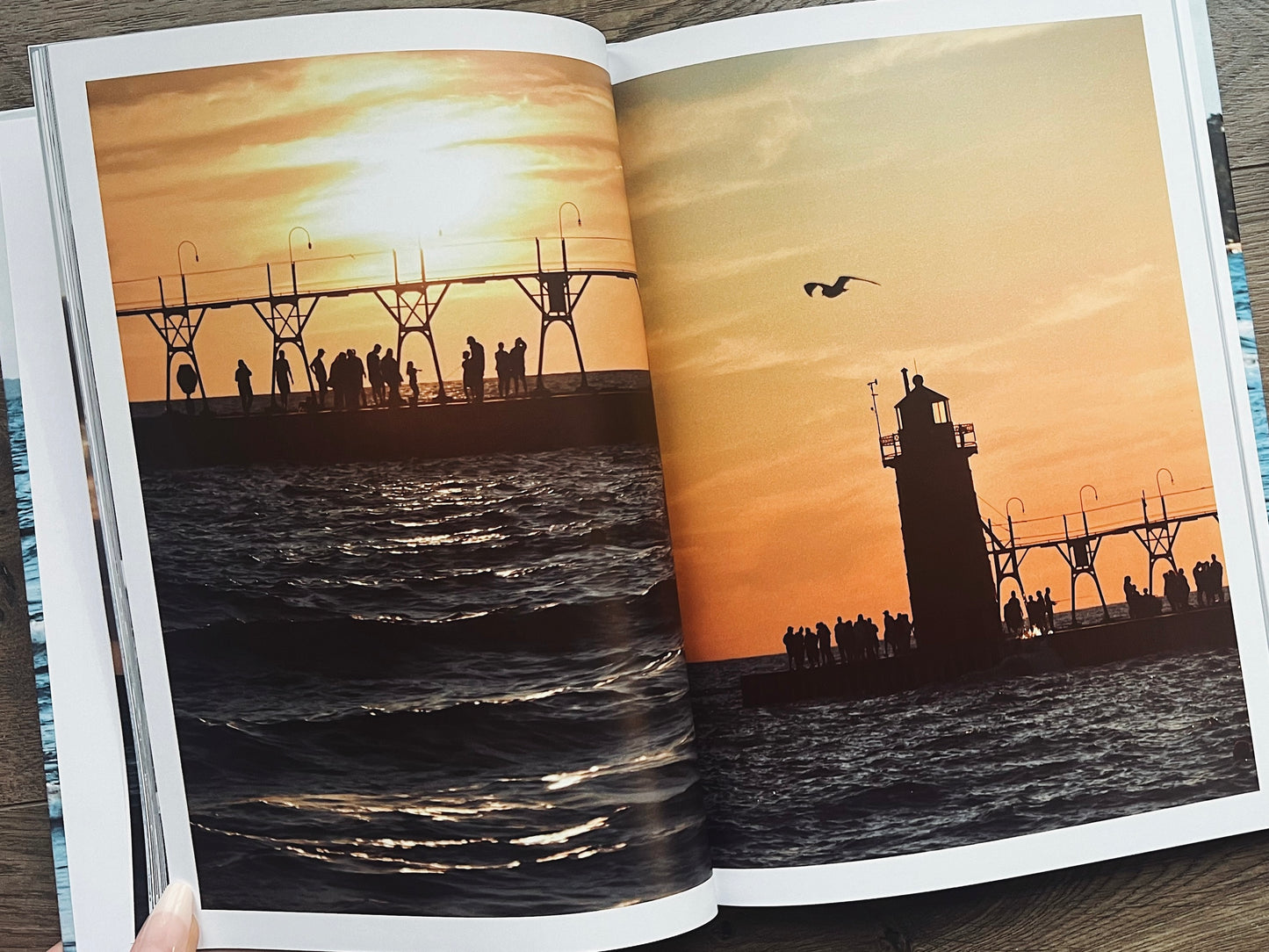 Lake Michigan Shores: A Summer Fine Art Collection