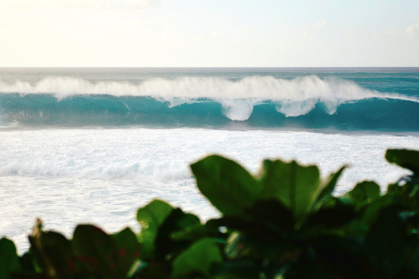 Waimanalo Wave