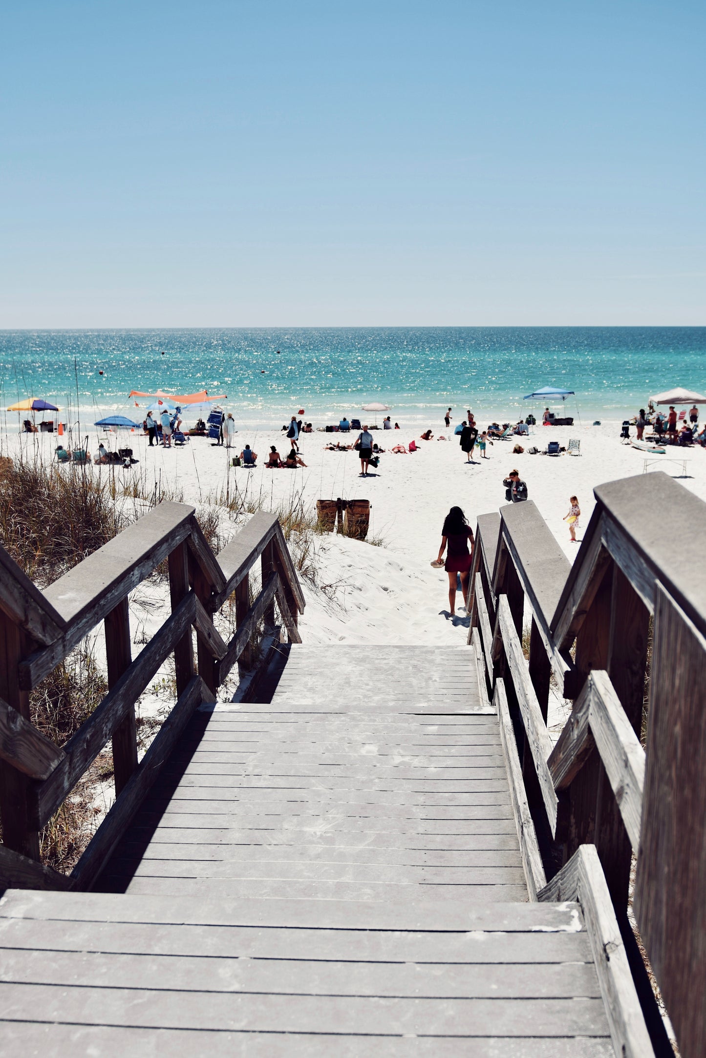 Steps To Paradise