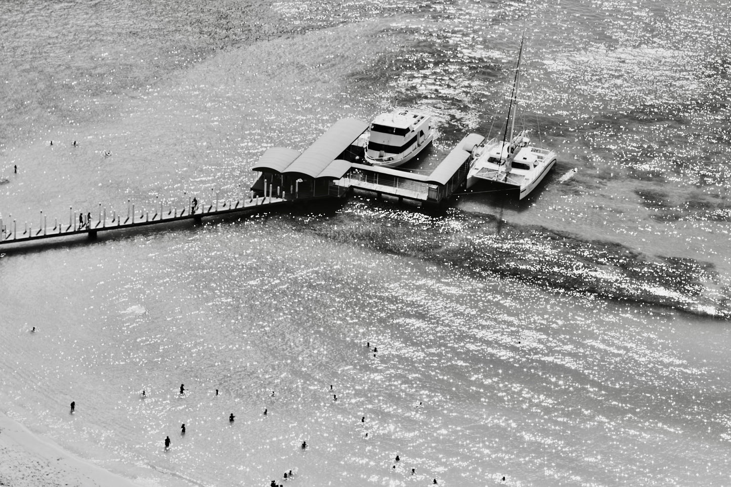 Waikiki Catamaran