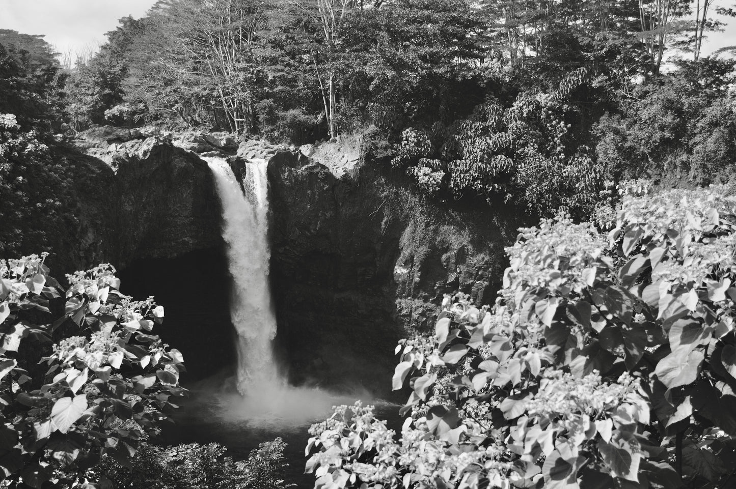 Tropical Hilo Waterfall