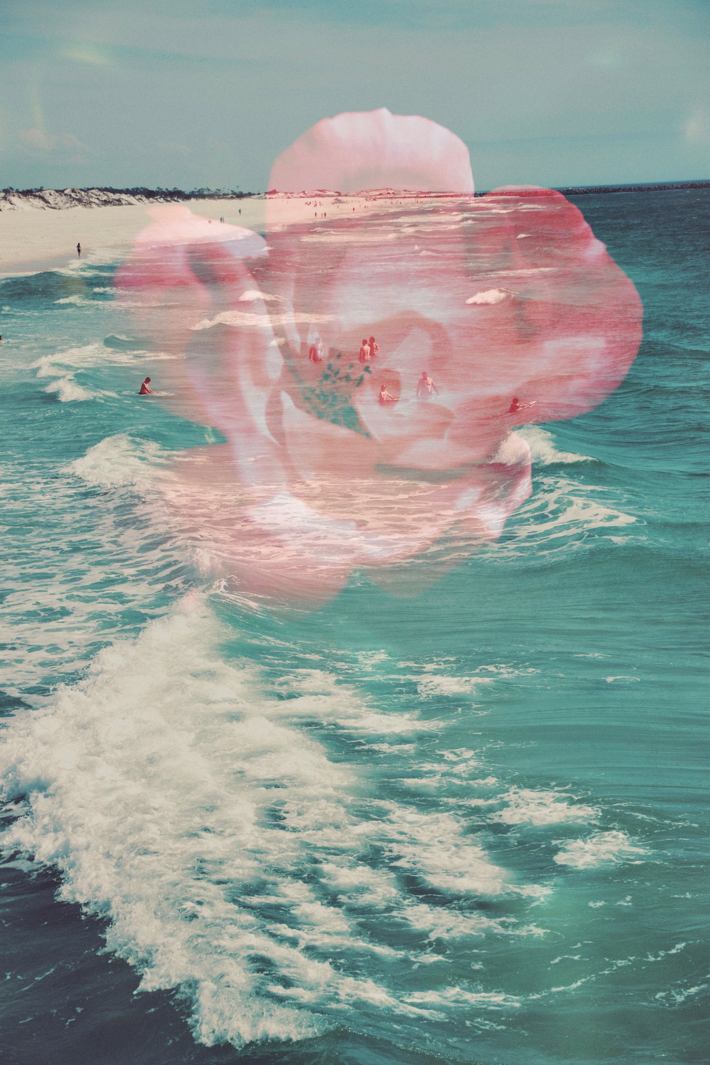 Ocean Flora