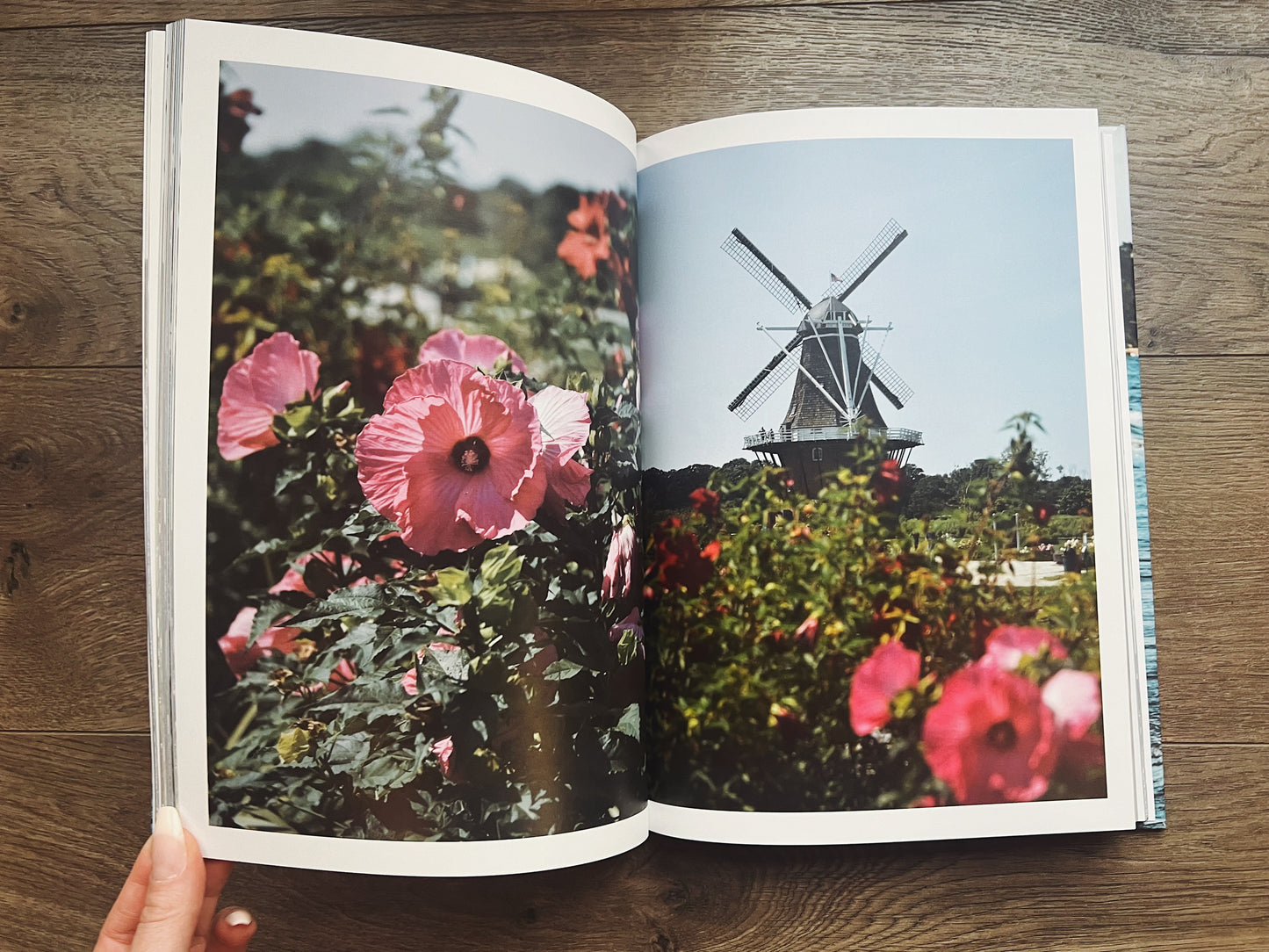 Lake Michigan Shores: A Summer Fine Art Collection