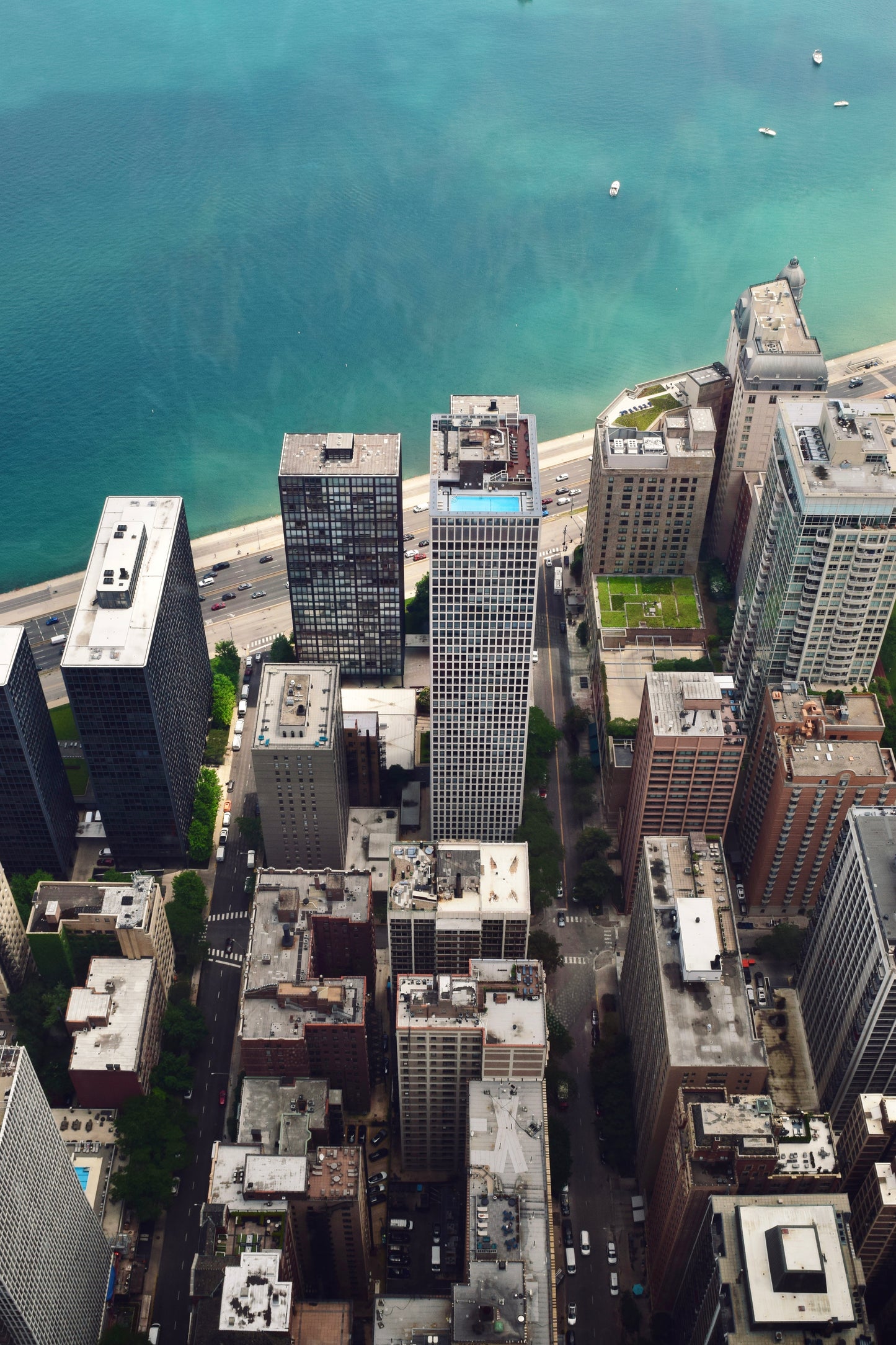 Chicago Shores