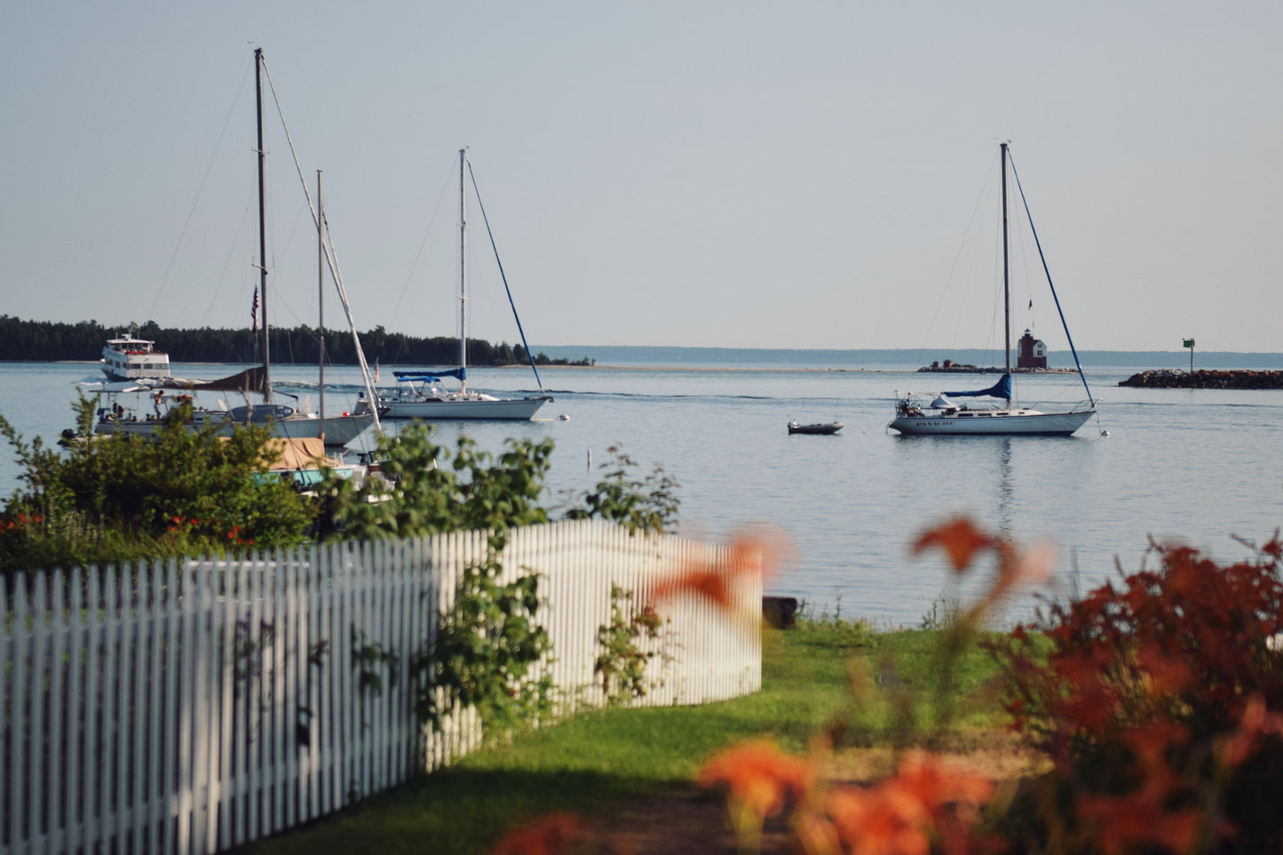 Sailboats & Flowers