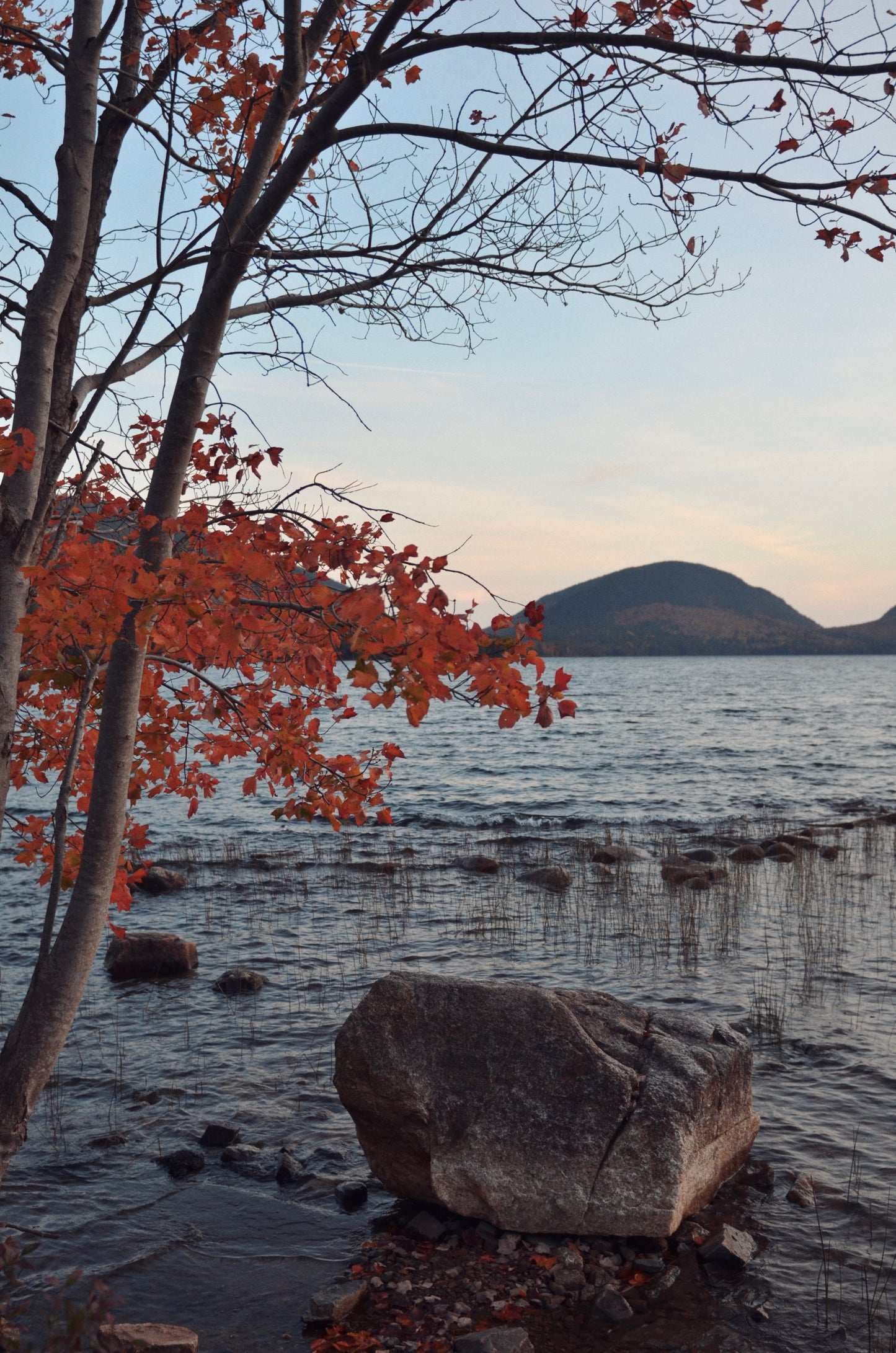 Acadia October