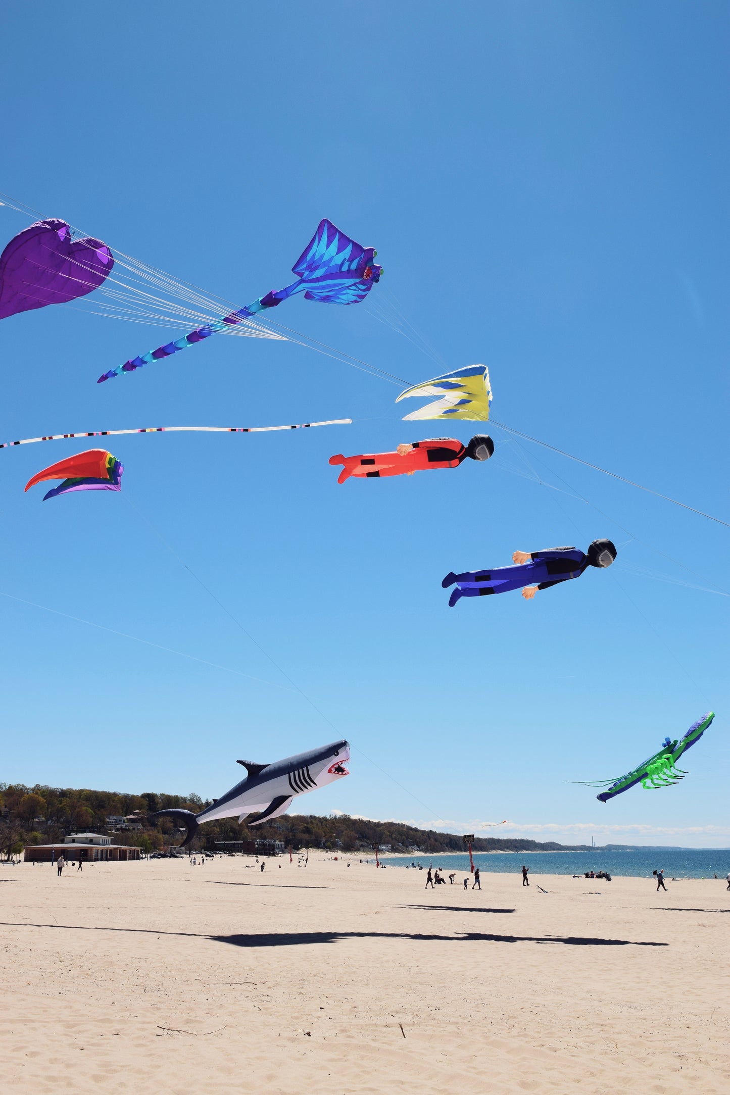 Lake Michigan Kites