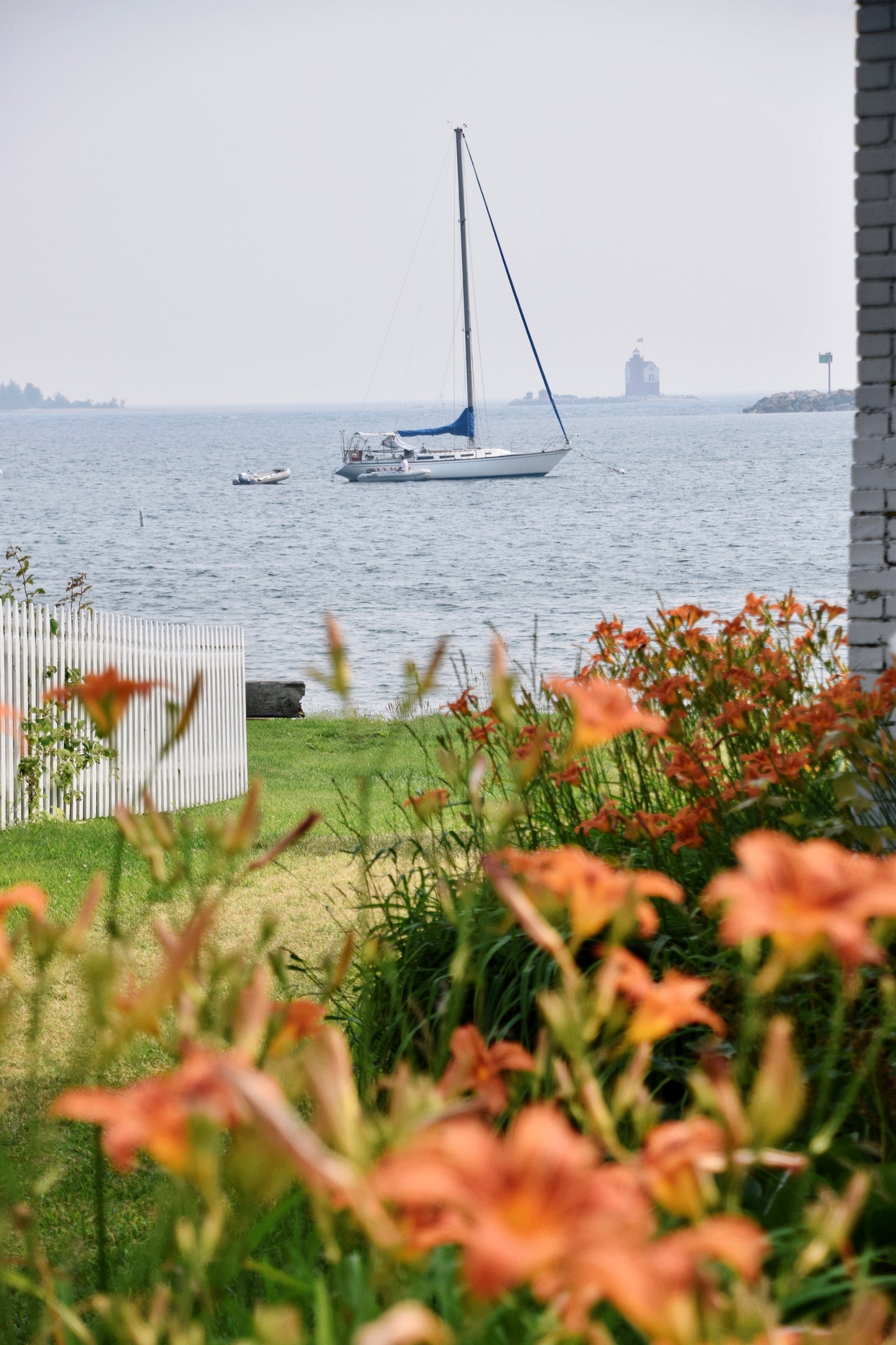 Sail Summer
