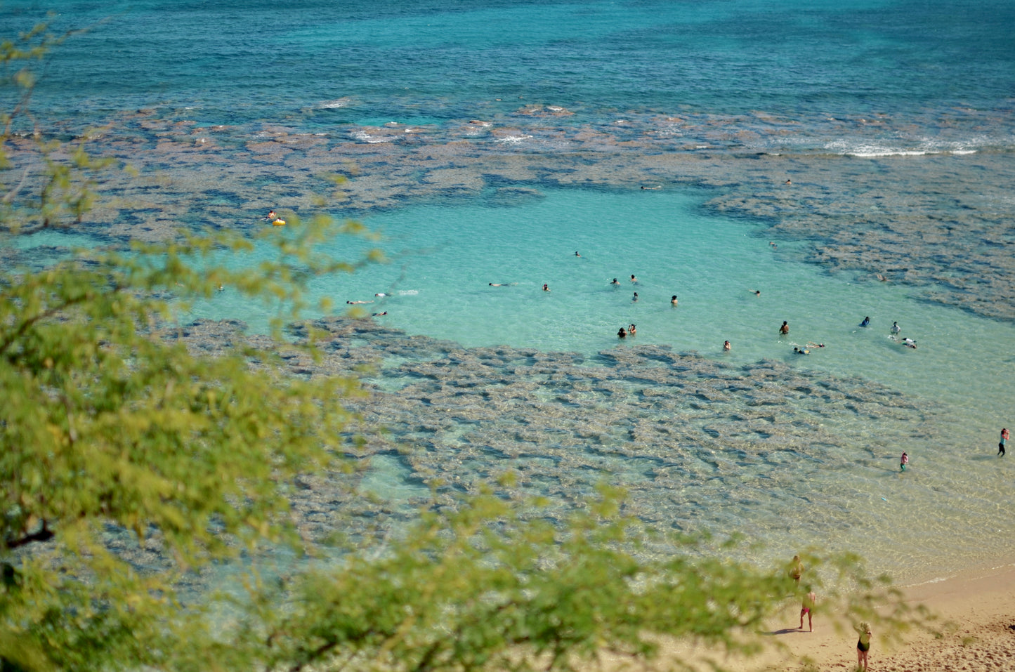 Hanuma Bay