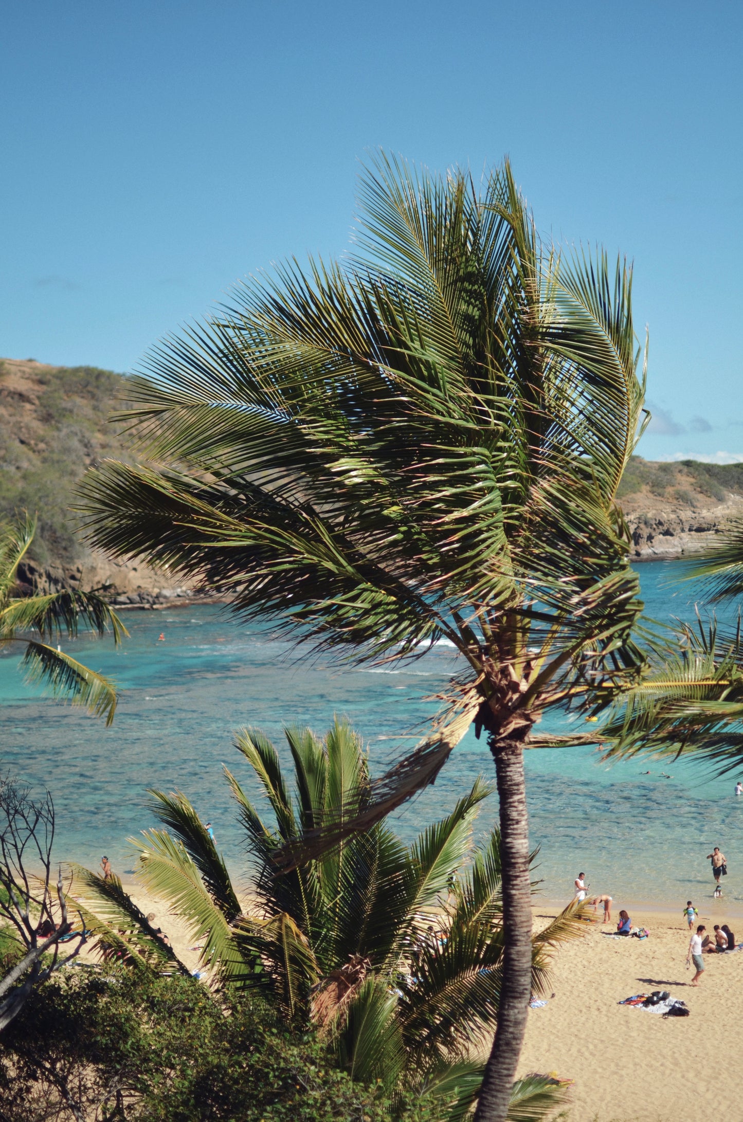 Hanauma Bay Breeze