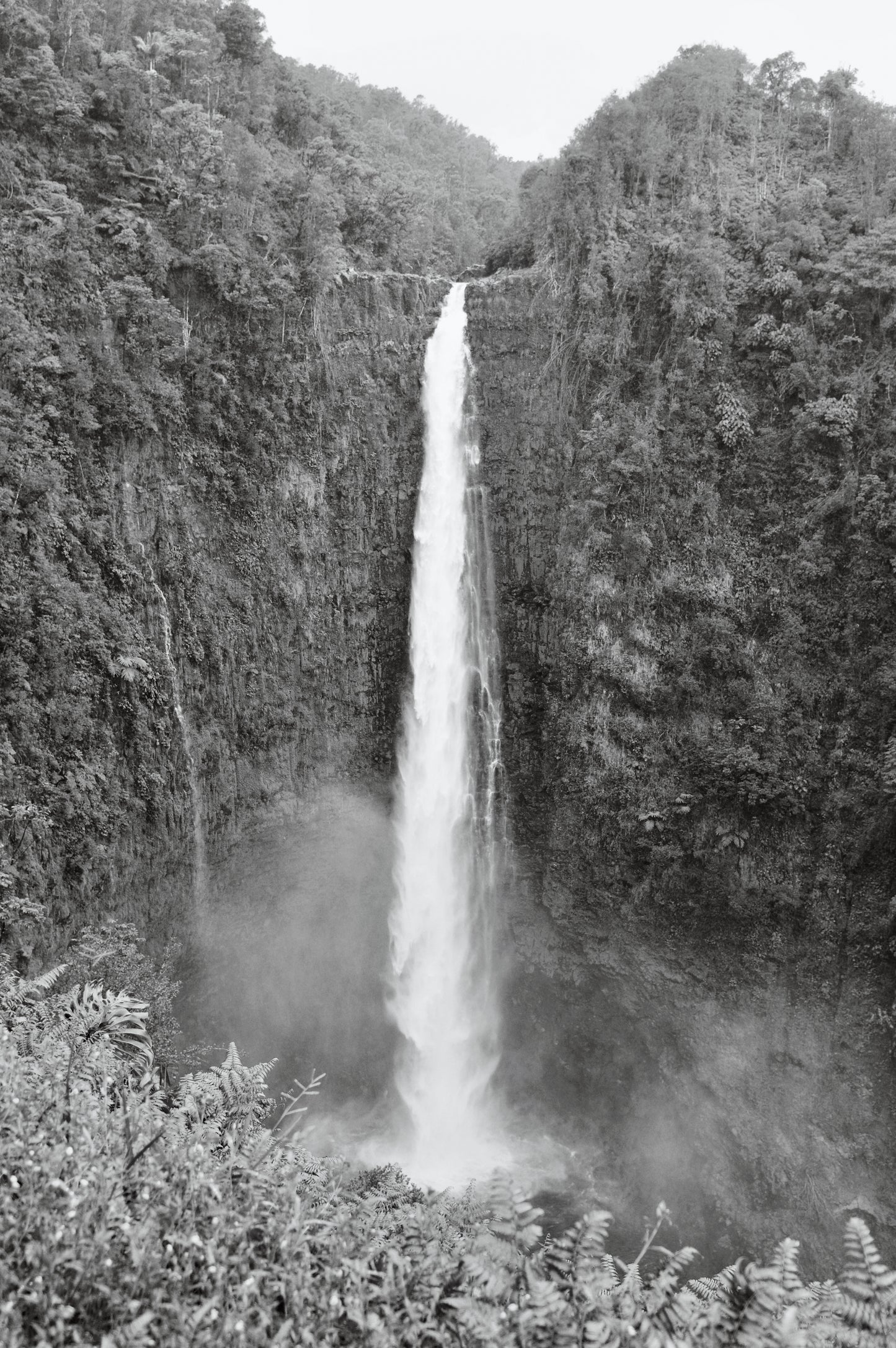 Tropical Waterfall