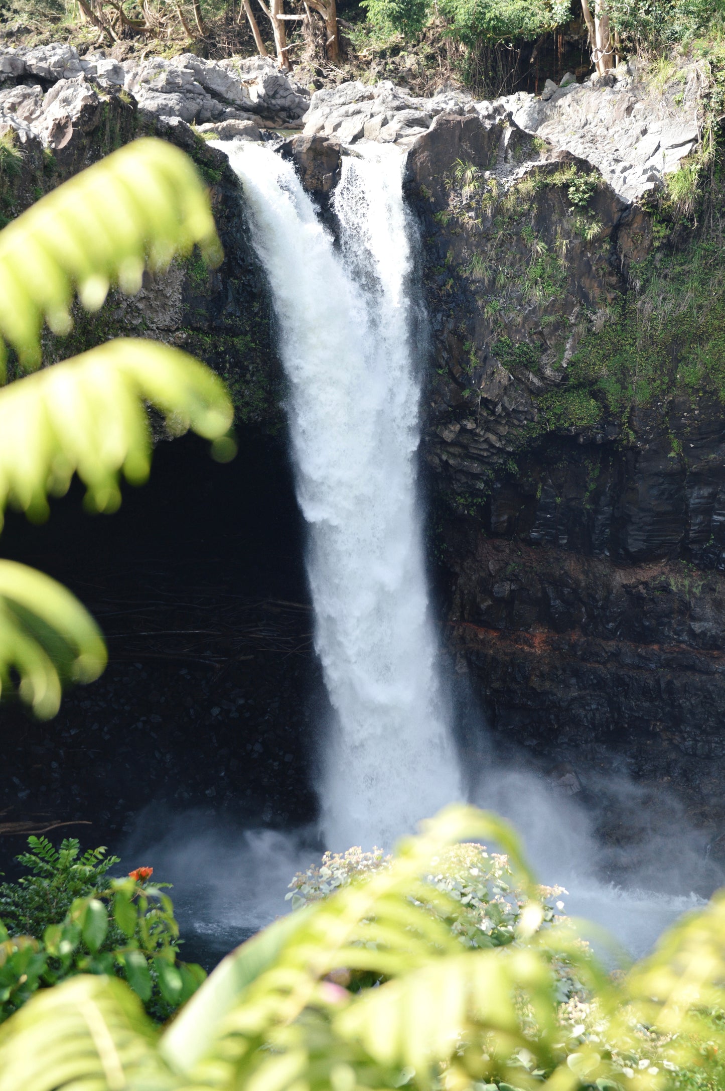 Sacred Hilo