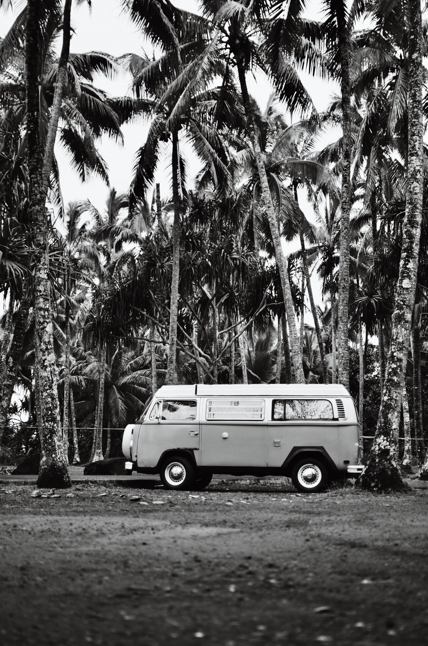 Rainforest Van