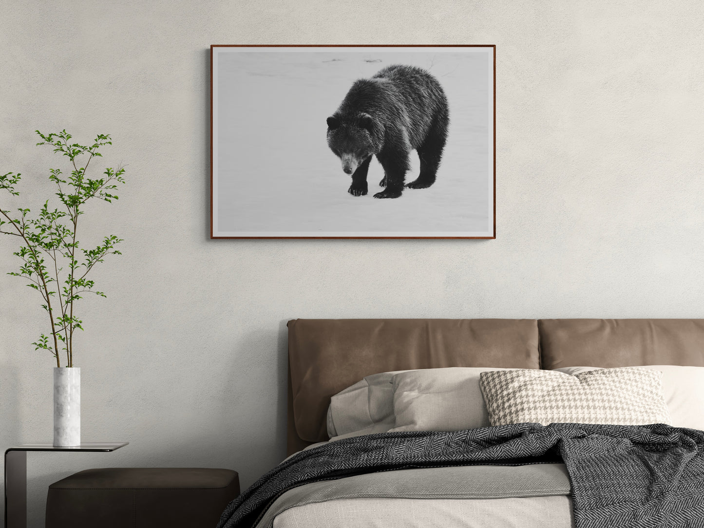 Wild Mountain Grizzly