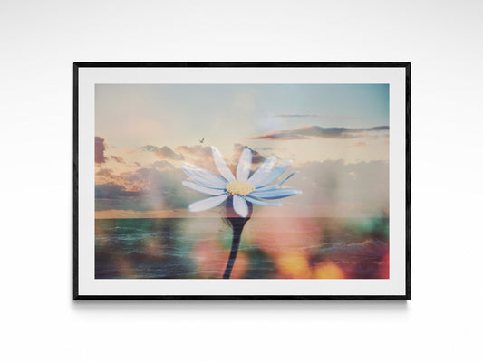 Lake Michigan Garden