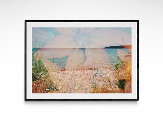 Lake Michigan Orange