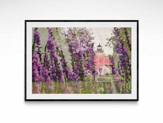 McGulpin Point Wildflowers