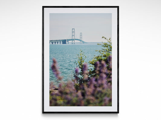 Lavender Mackinac Bridge
