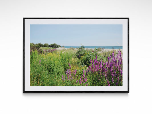 Mackinac Beach Escape