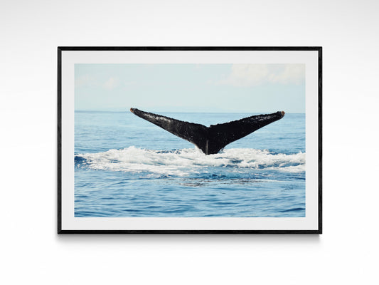 Ocean Whale