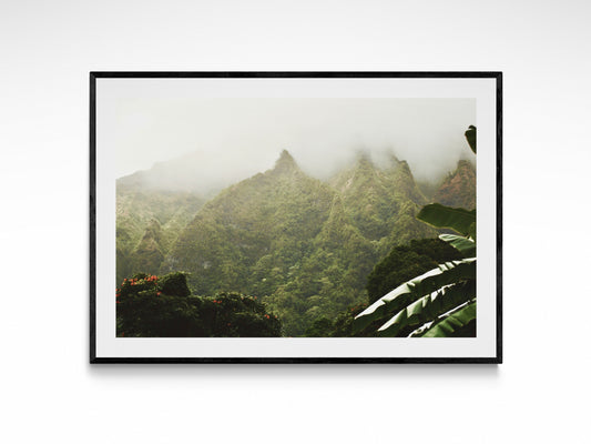 Oahu Mist