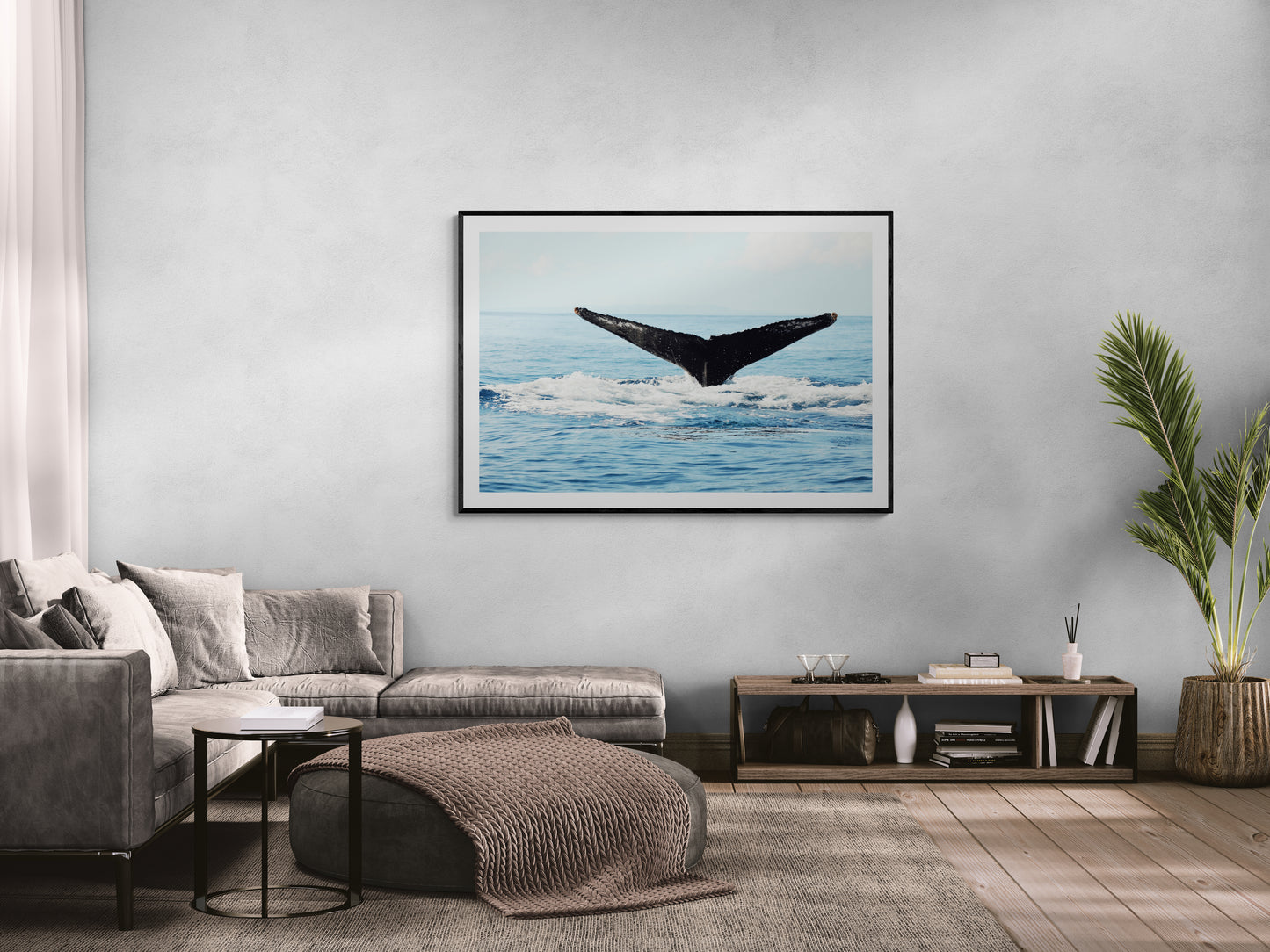 Ocean Whale