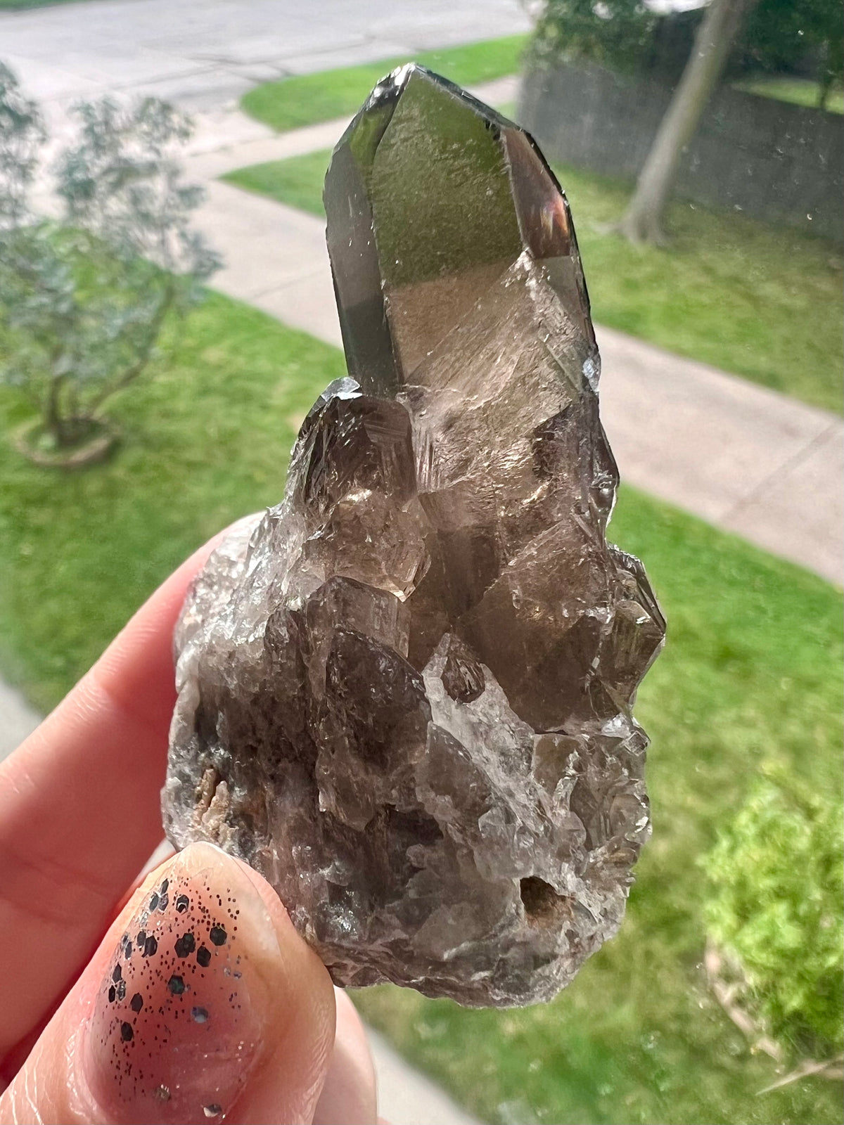 Smoky Quartz Cluster