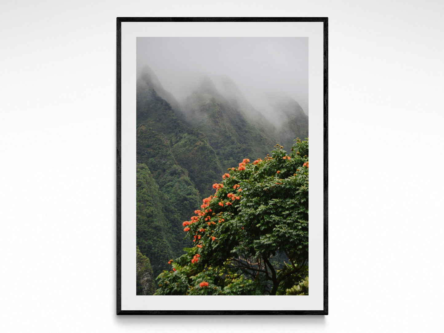 Fog Over Paradise
