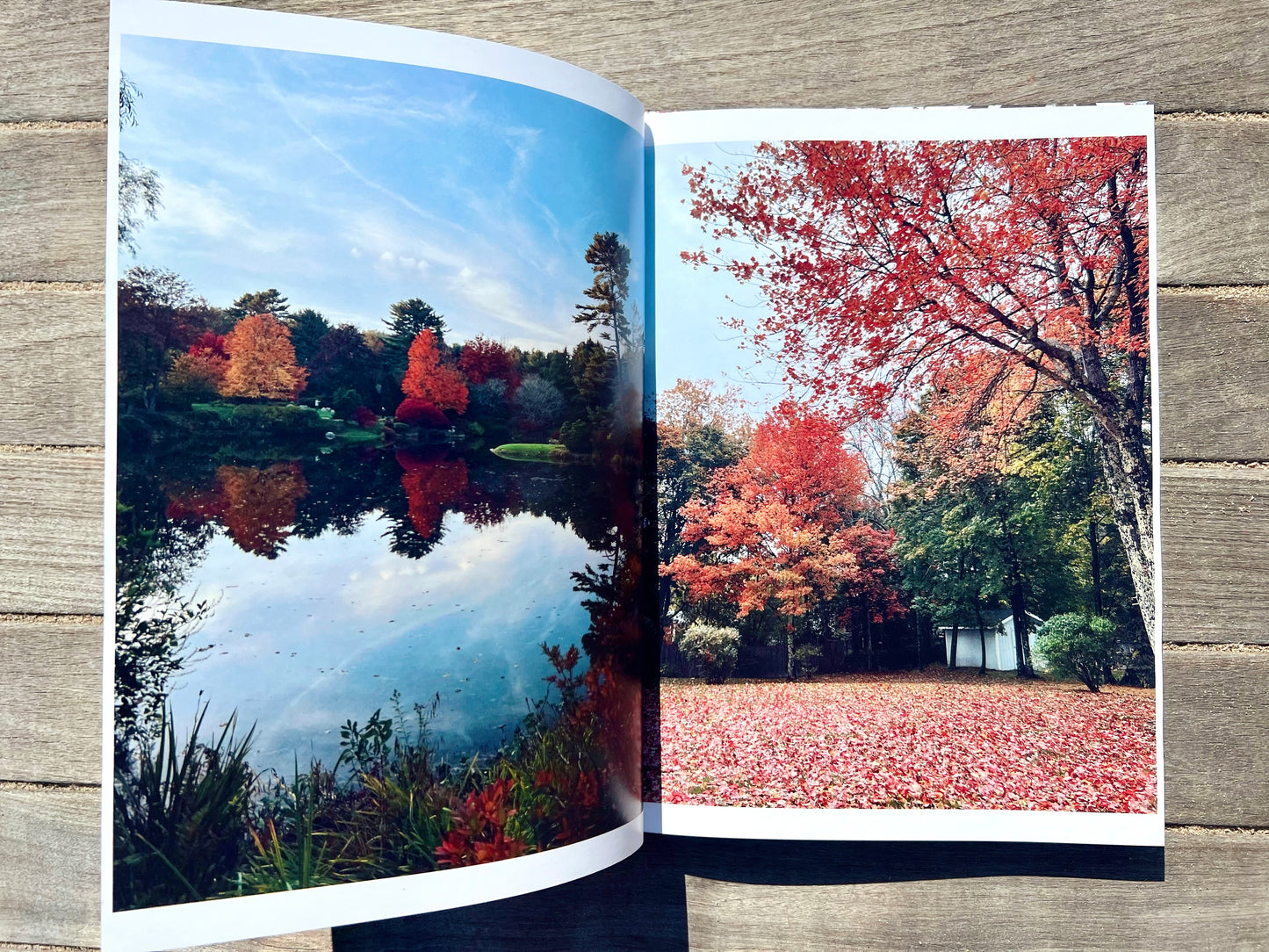 Autumn In Acadia: A Coastal Maine Collection