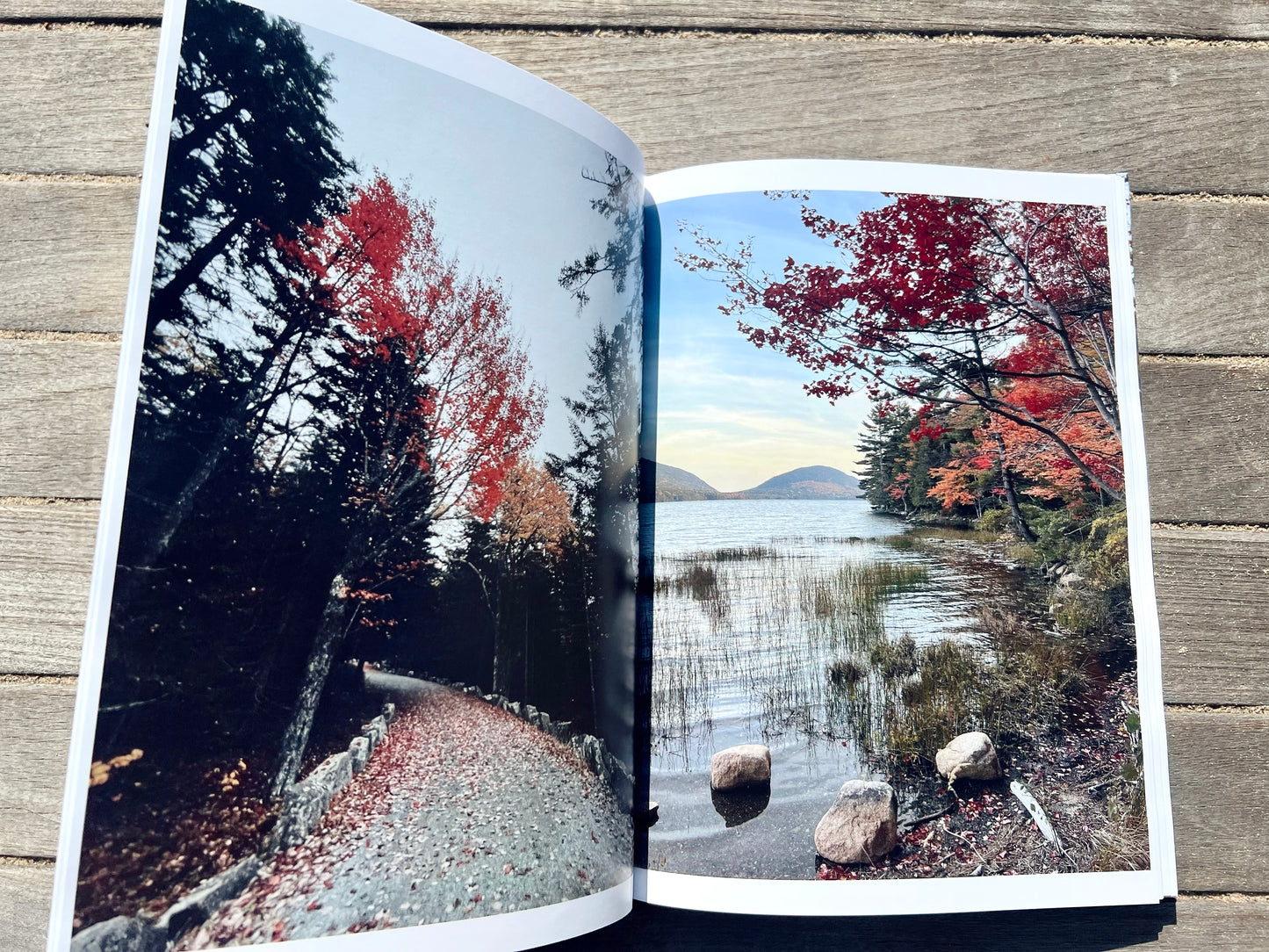 Autumn In Acadia: A Coastal Maine Collection