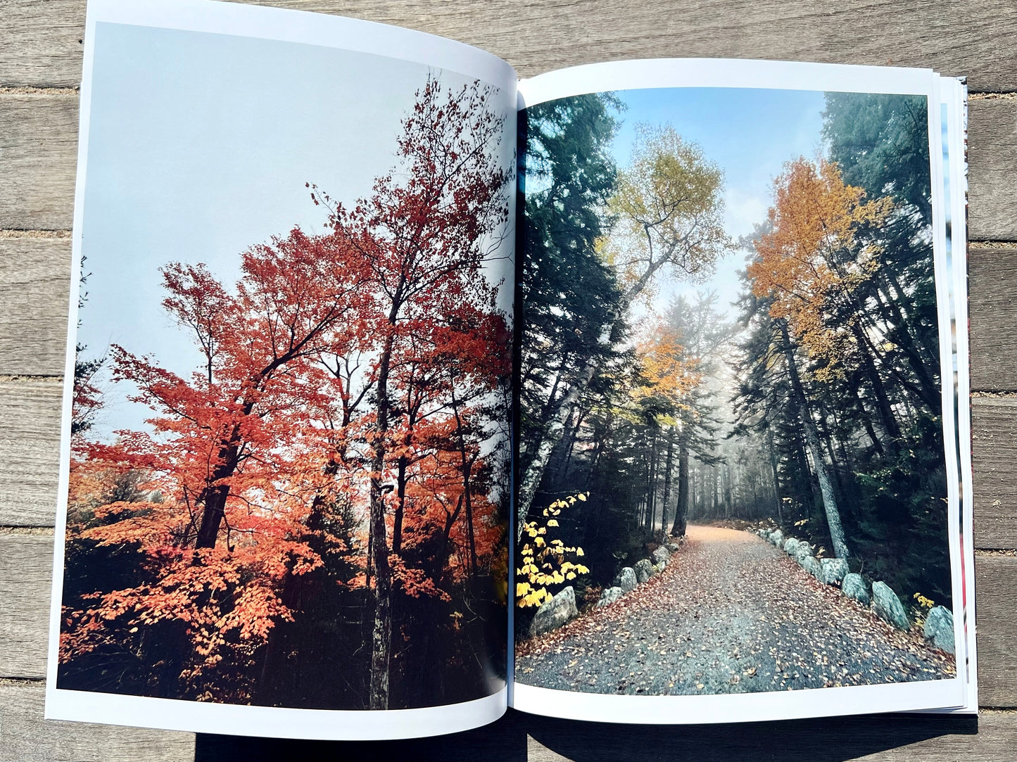 Autumn In Acadia: A Coastal Maine Collection