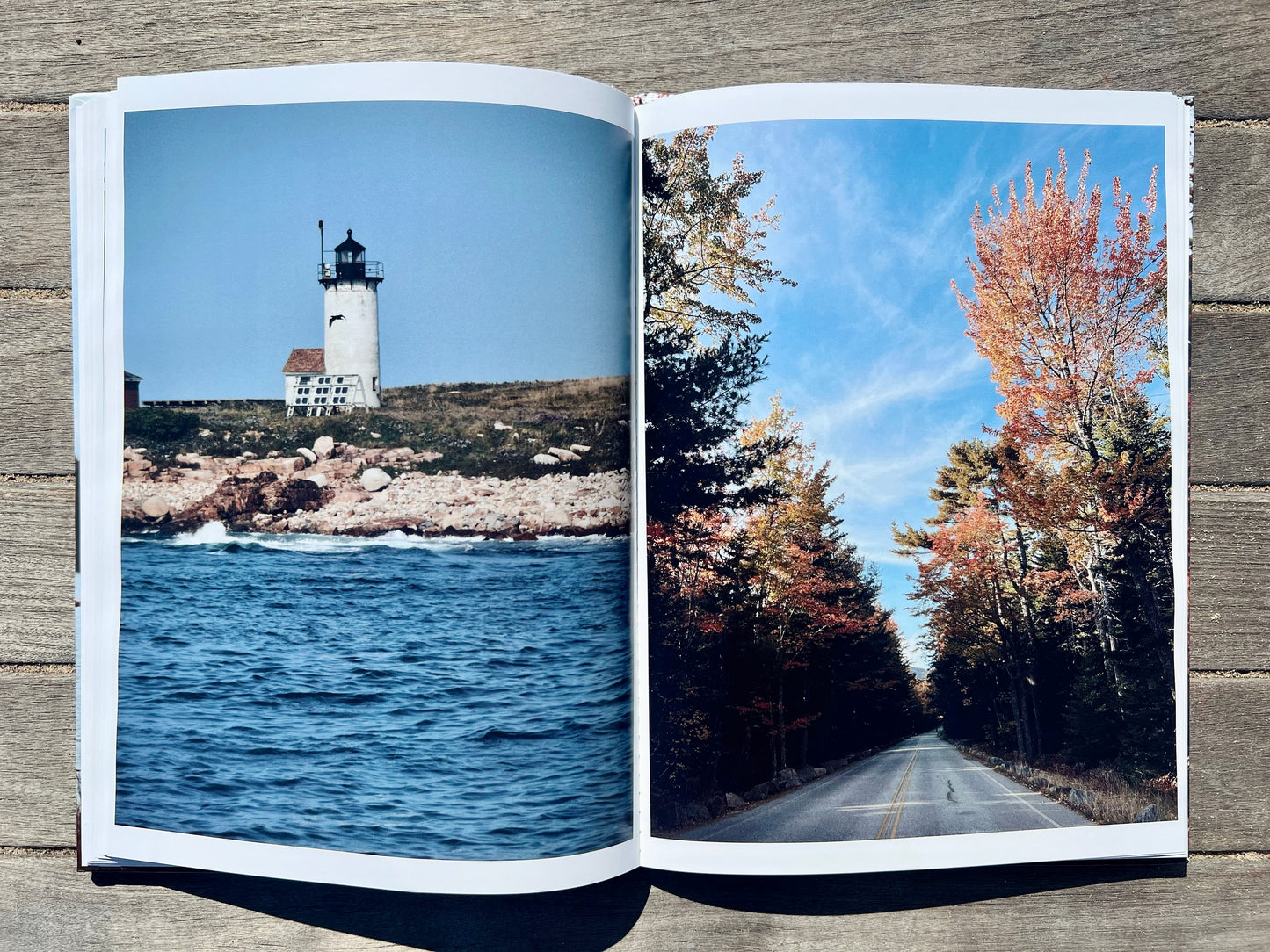 Autumn In Acadia: A Coastal Maine Collection