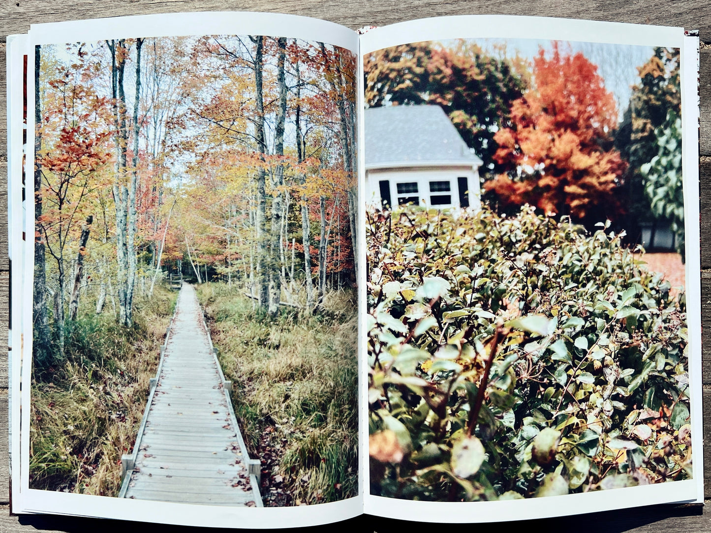 Autumn In Acadia: A Coastal Maine Collection
