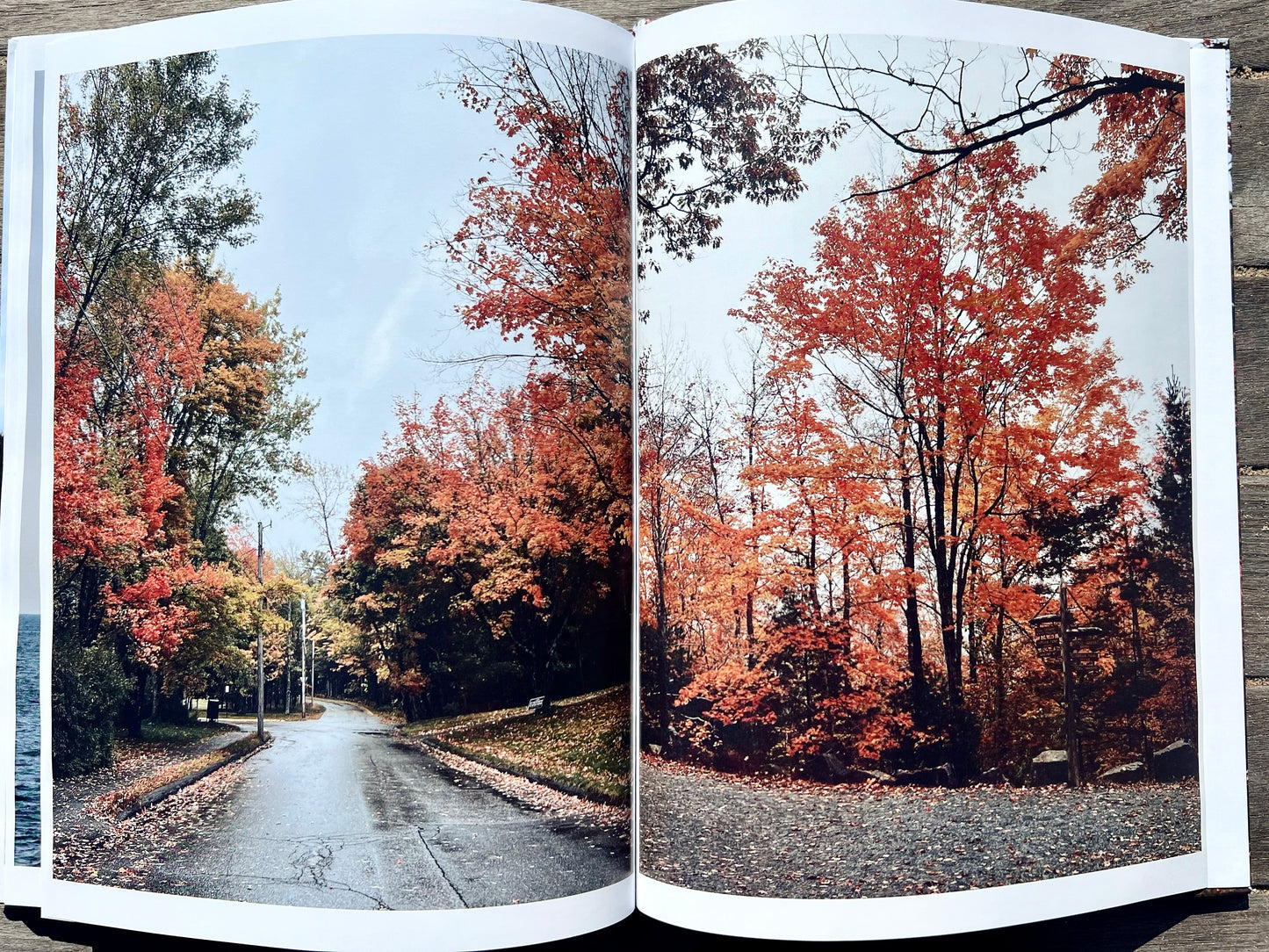 Autumn In Acadia: A Coastal Maine Collection