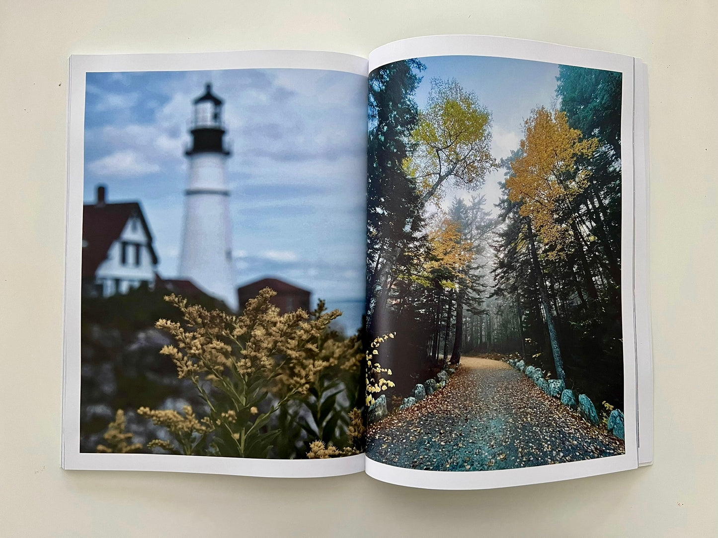 Echoes Of The Atlantic: A Visual Celebration Of Maine's Coast