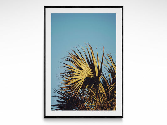 Tropical Palm Leaves