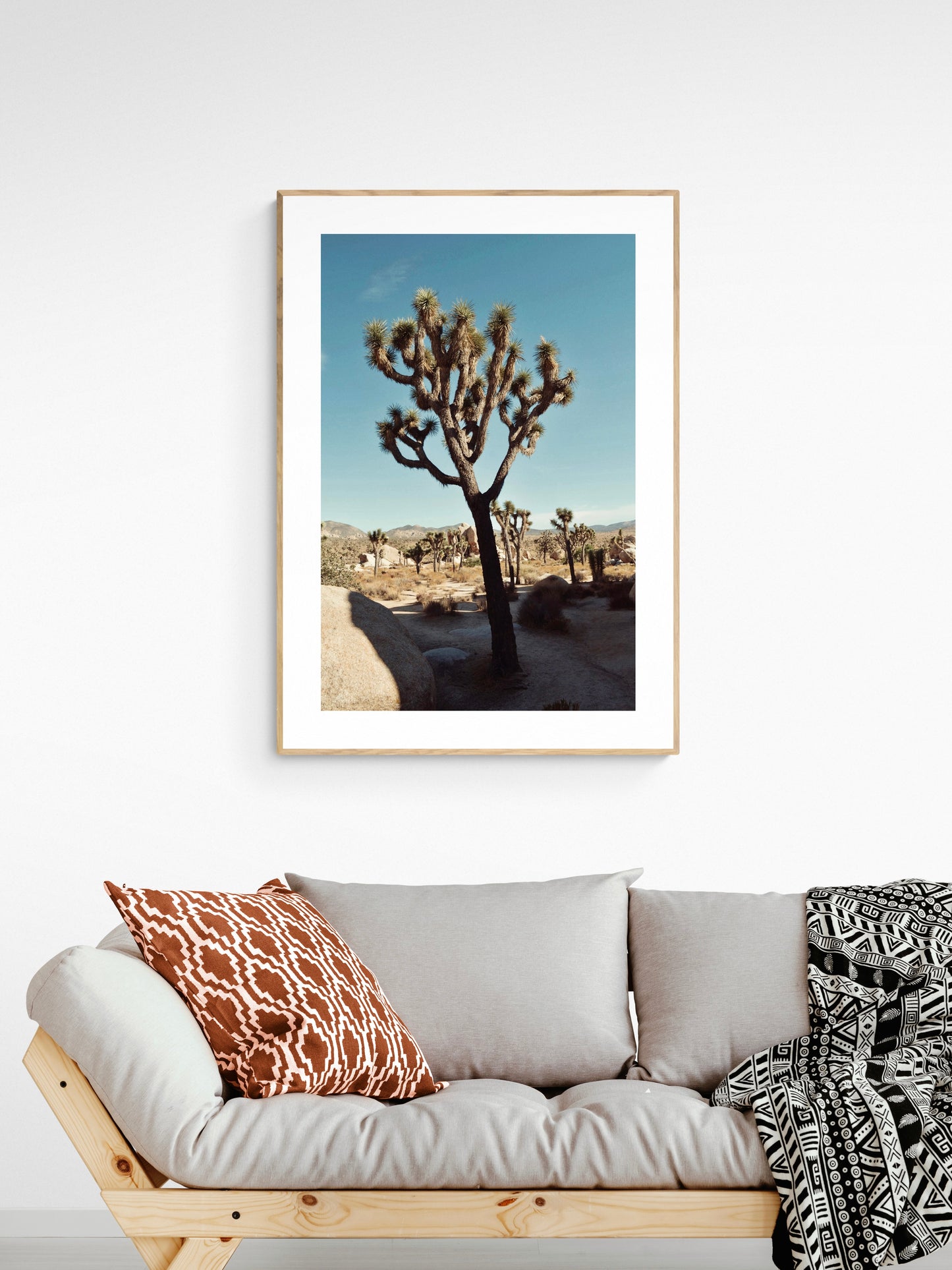 Afternoon In Joshua Tree