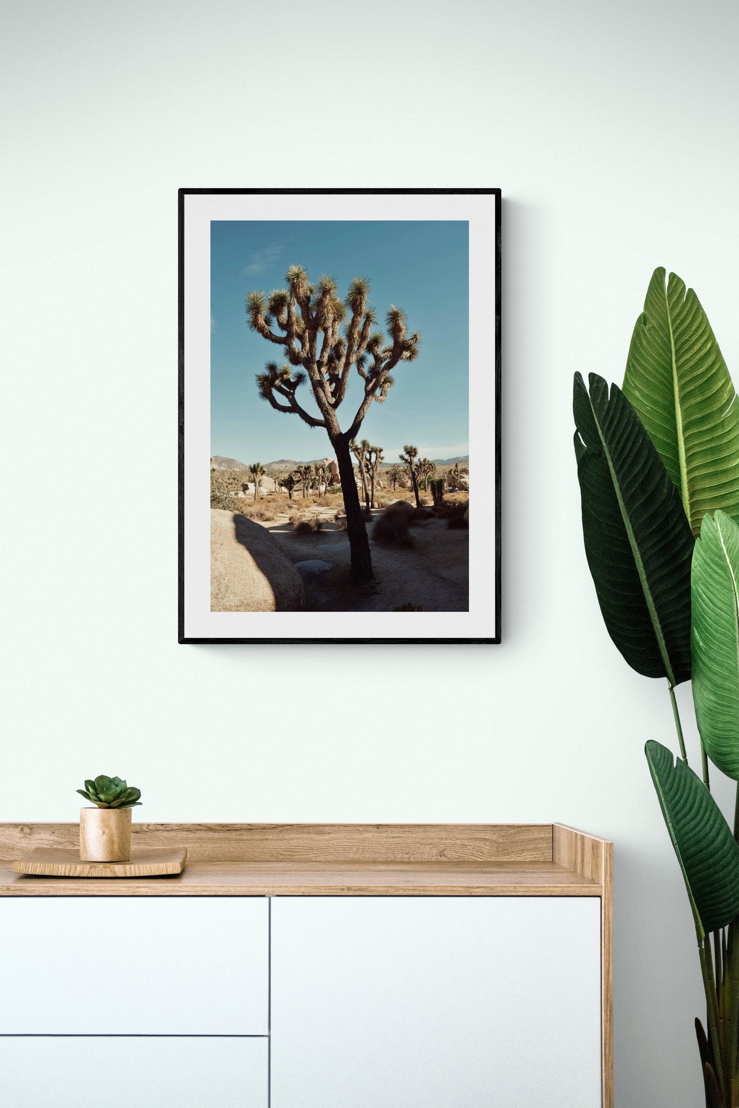 Afternoon In Joshua Tree